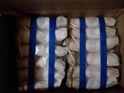 河南洛陽瀍河區杏鮑菇市場行情與批發采購指南